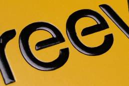 REEV BOX